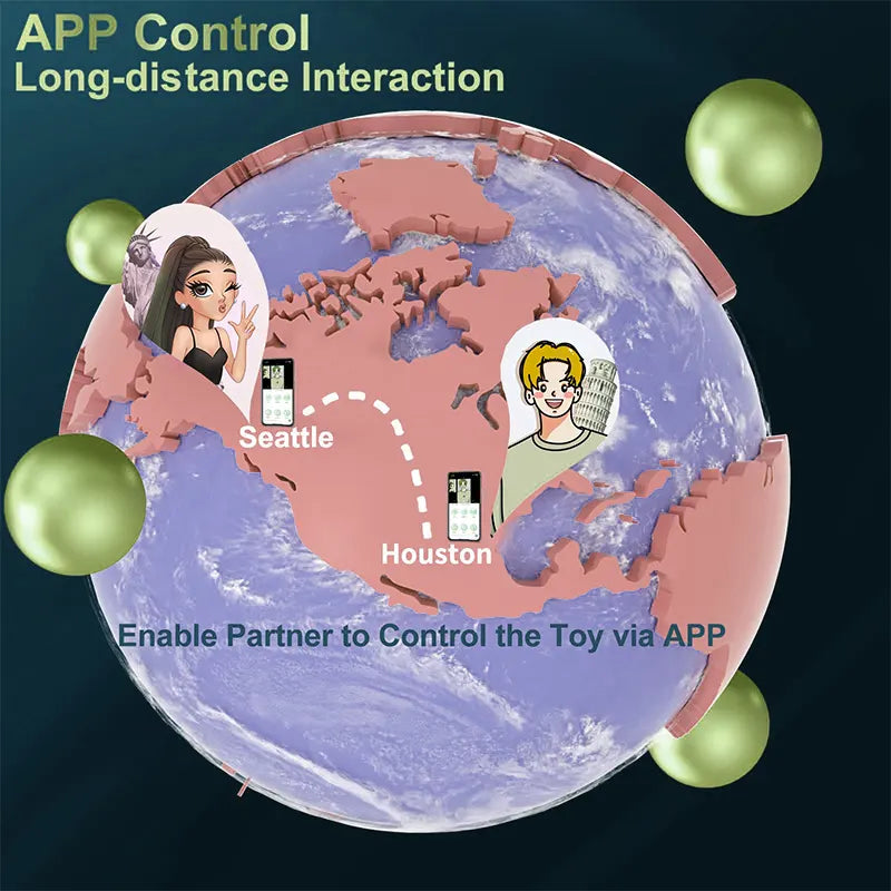 APP_Remote_Control_Rose_Anal_Plug3