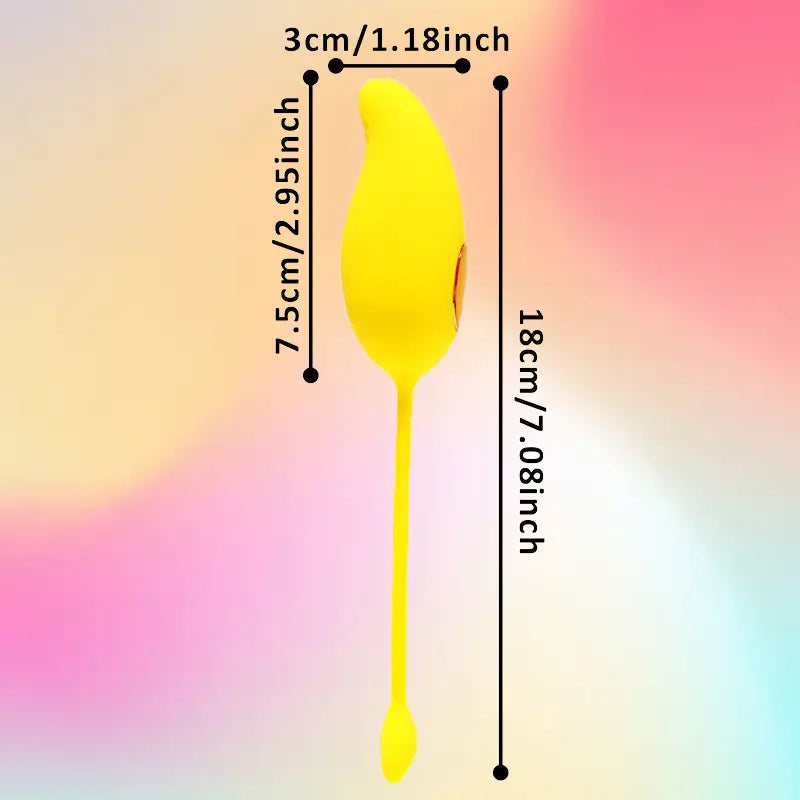 Remote_Control_Mango_Vibrator